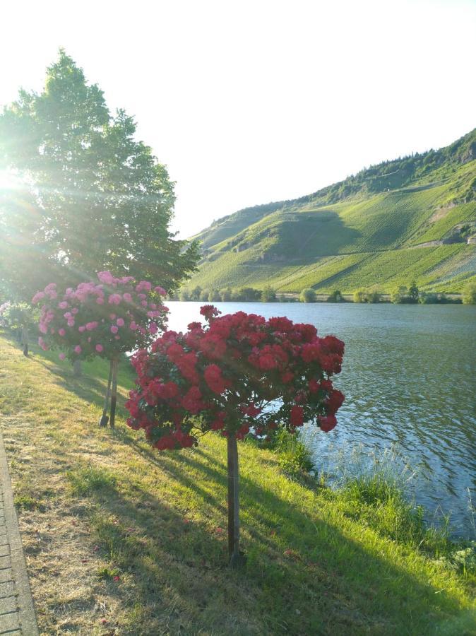 Ferienwohnungen Und Gaestezimmer Peter Busch 베른카슈텔쿠에스 외부 사진