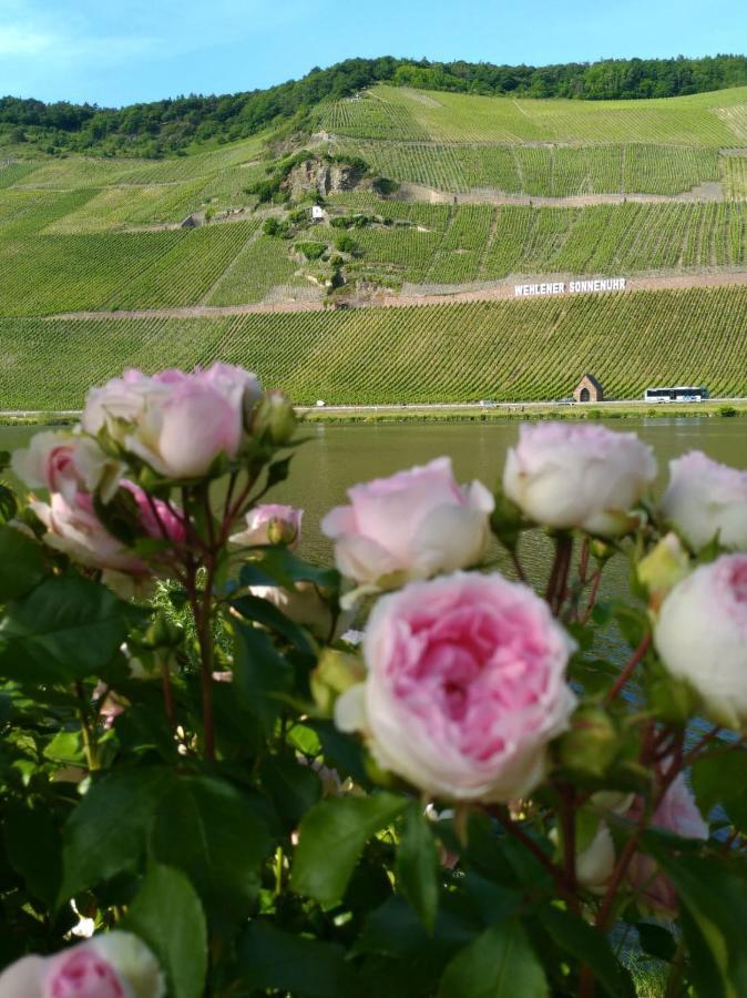 Ferienwohnungen Und Gaestezimmer Peter Busch 베른카슈텔쿠에스 외부 사진
